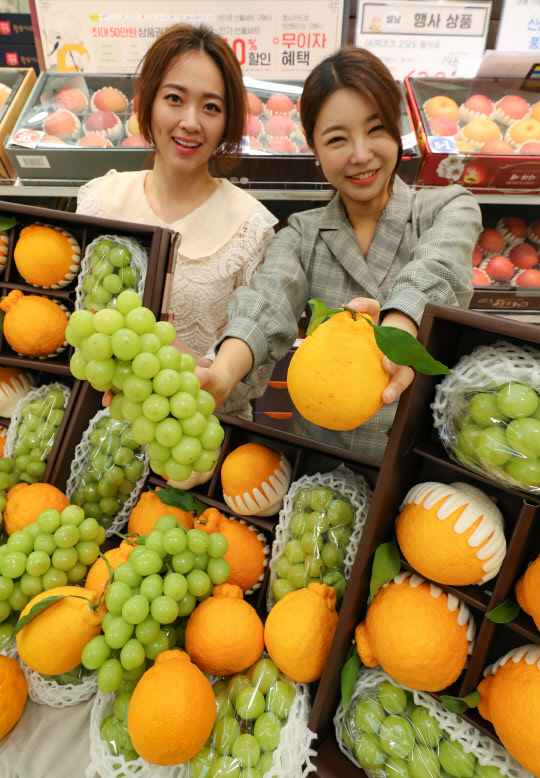 (사진=연합뉴스)